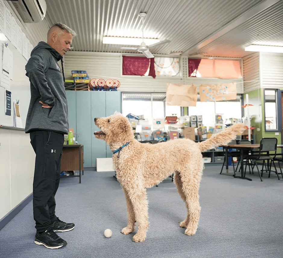 Grant Shannon from Dogs Connect in a classroom with a wellbeing dog