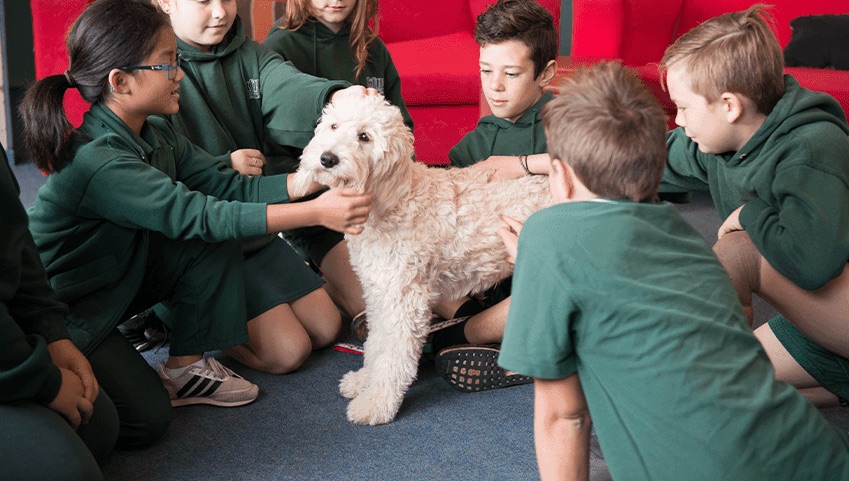 Students sitting with their school's wellbeing dog